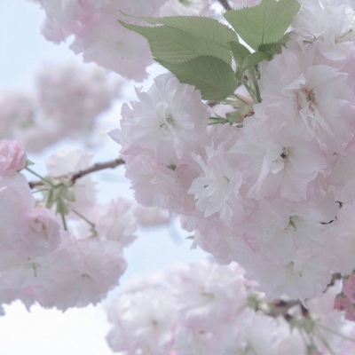 兽设故事创作思路兽圈社群